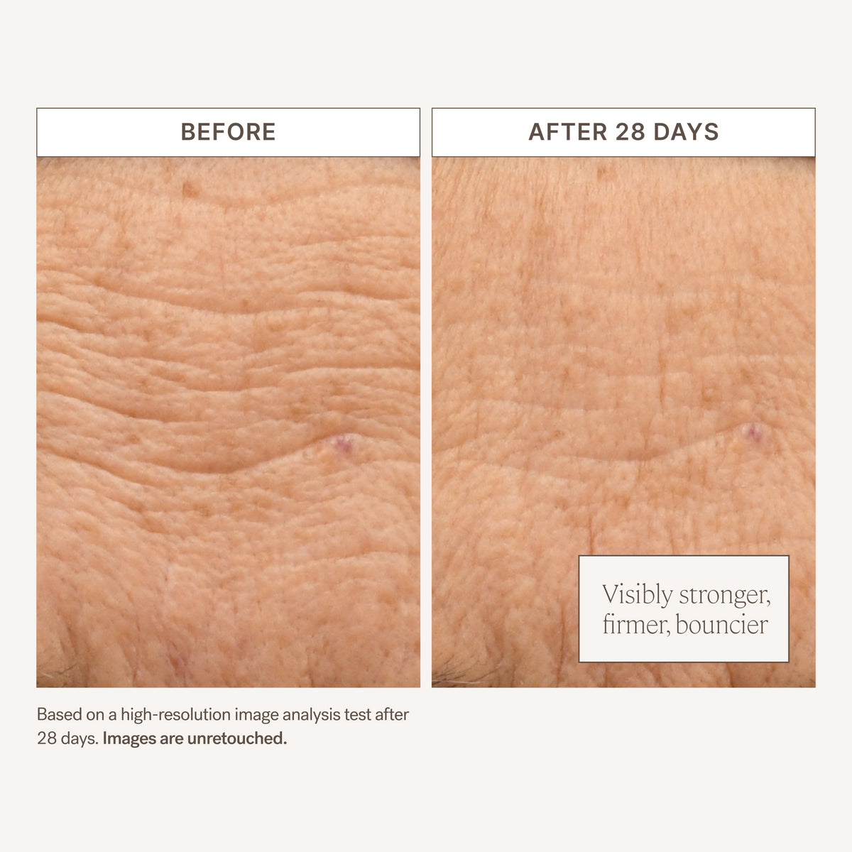 ILIA Barrier Build Skin Protectant Cream - AILLEA