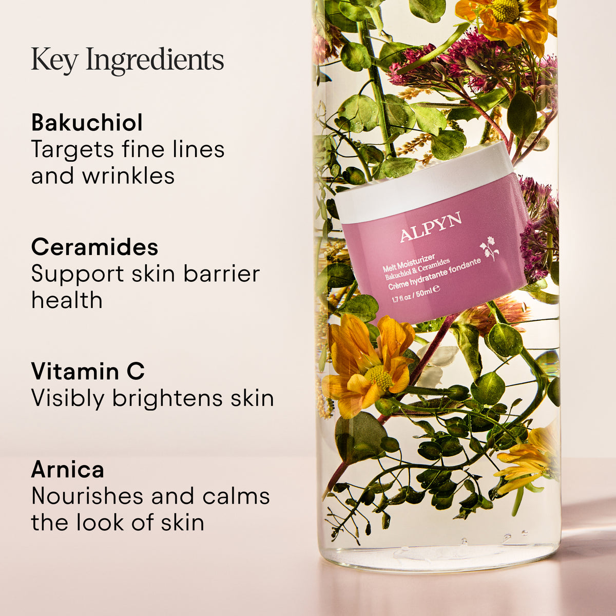 Alpyn PlantGenius Melt Moisturizer - AILLEA