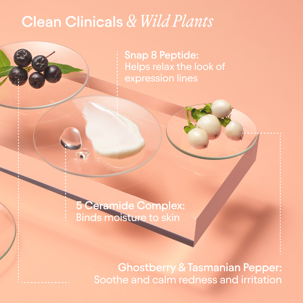 Alpyn Beauty Super Peptide & Ghostberry Barrier Repair Cream - AILLEA